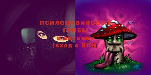 дурь Семёнов
