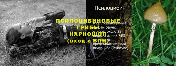 наркотики Алексин