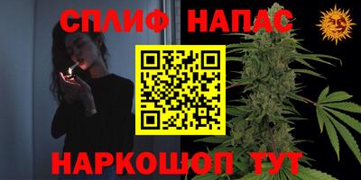 прущие грибы Ливны