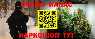 прущие грибы Ливны