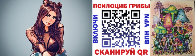 купить наркотик  Дмитров  MEGA   Псилоцибиновые грибы ЛСД 